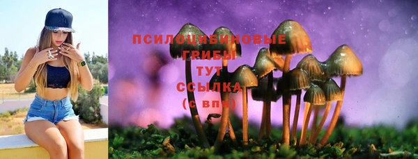 mdpv Арсеньев