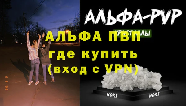 крисы Армянск