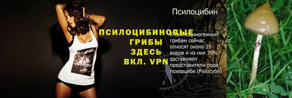 крисы Армянск