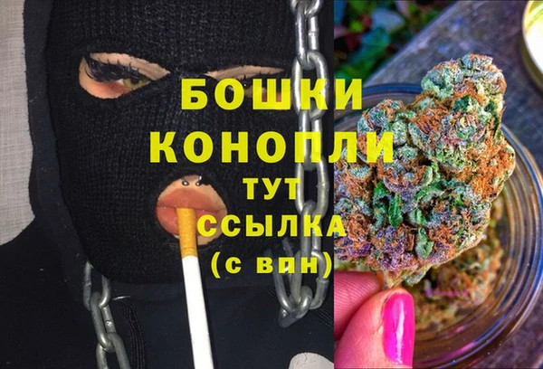 mdpv Арсеньев