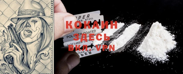 крисы Армянск