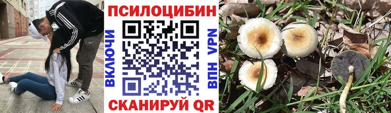Галлюциногенные грибы прущие грибы  купить   Мичуринск 