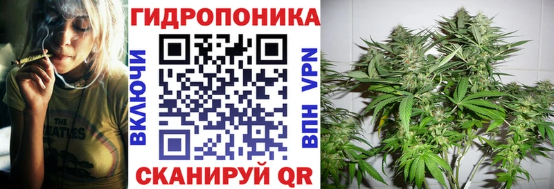 продажа наркотиков  Мичуринск  Бошки марихуана SATIVA & INDICA 